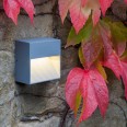 Tecla 2W 3000K LED Surface Wall Light in Silver IP54 rated for Exterior Lighting