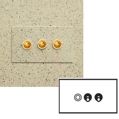 3 Gang Momentary Switch/Dolly Painted Plate with Brass: 1 Momentary Switch + 2 x 2 way 20A Dolly