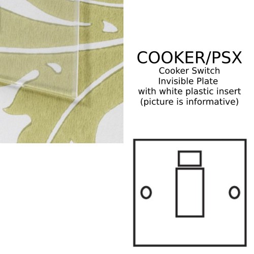 1 Gang Cooker Switch 45A with Neon in Invisible Plate and White Trim from Forbes and Lomax