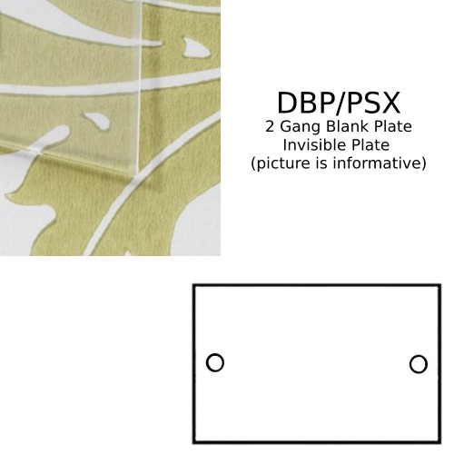 2 Gang Double Blank Plate in Invisible Plate from Forbes and Lomax