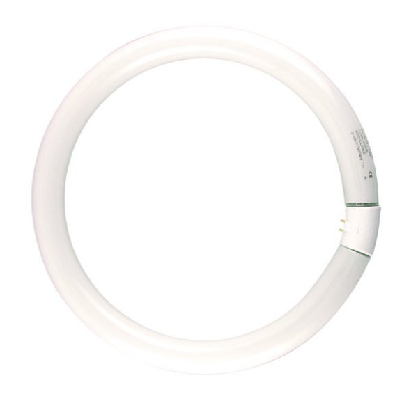 40TCW - 40W Warm White Fluorescent Circular Tube